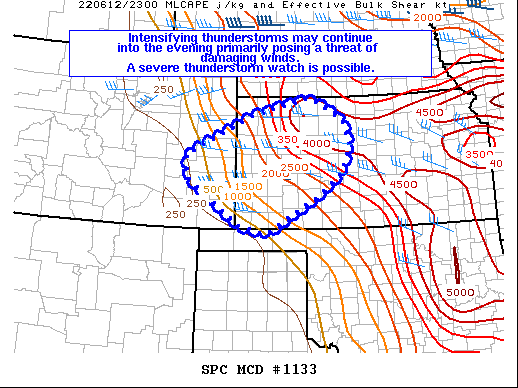 Mesoscale Discussion 1133