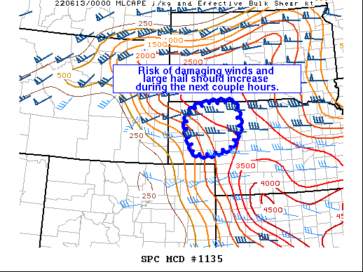 Mesoscale Discussion 1135