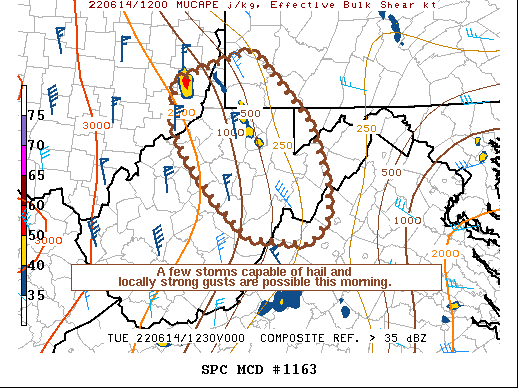Mesoscale Discussion 1163