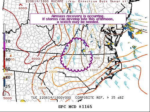 Mesoscale Discussion 1165