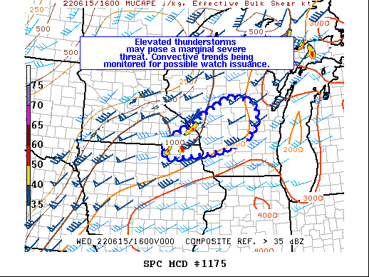 Mesoscale Discussion 1175