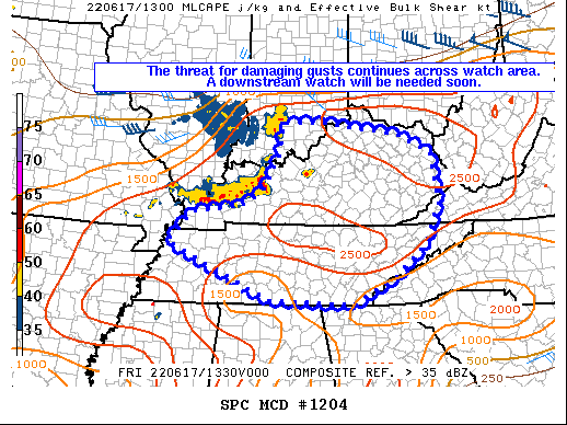 Mesoscale Discussion 1204
