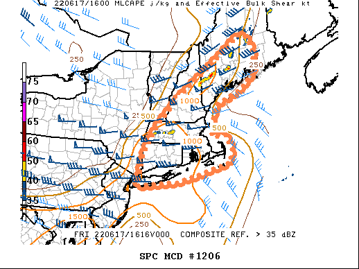 Mesoscale Discussion 1206