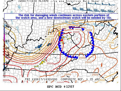 Mesoscale Discussion 1207