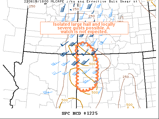 Mesoscale Discussion 1225