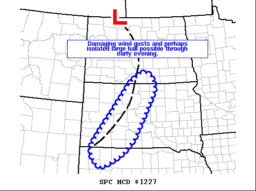 Mesoscale Discussion 1227