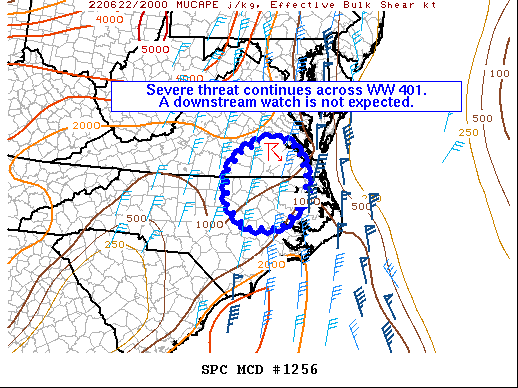 Mesoscale Discussion 1256