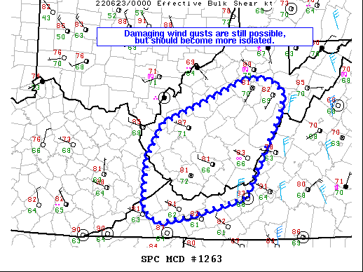 Mesoscale Discussion 1263