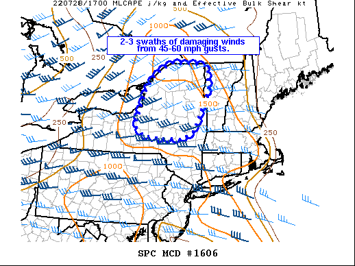 Mesoscale Discussion 1606
