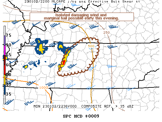 Mesoscale Discussion 9