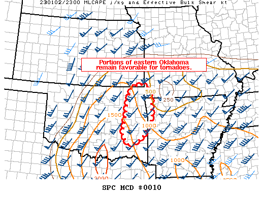 Mesoscale Discussion 10