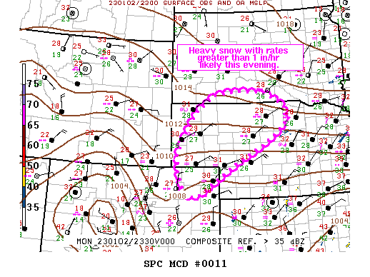 Mesoscale Discussion 11