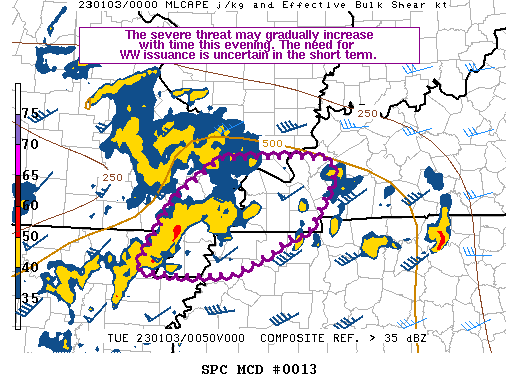 Mesoscale Discussion 13