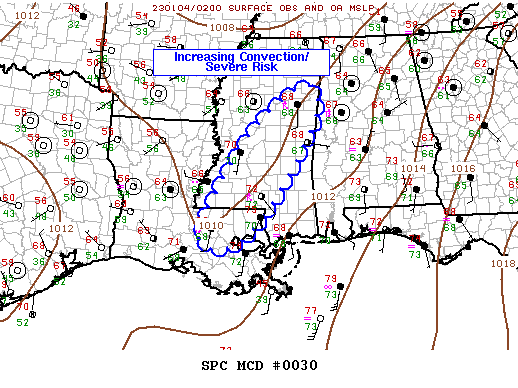 Mesoscale Discussion 30