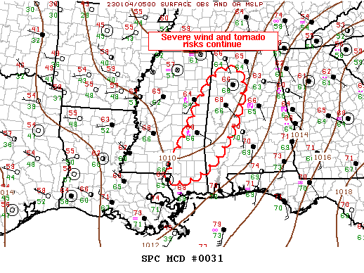 Mesoscale Discussion 31