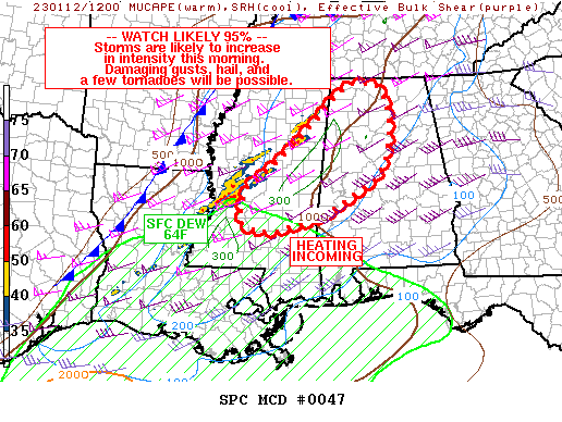 Mesoscale Discussion 47