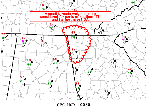 Mesoscale Discussion 50