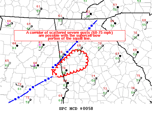 Mesoscale Discussion 58