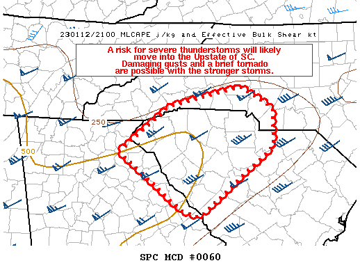 Mesoscale Discussion 60