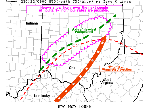 Mesoscale Discussion 85