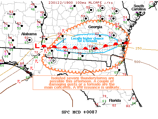 Mesoscale Discussion 87