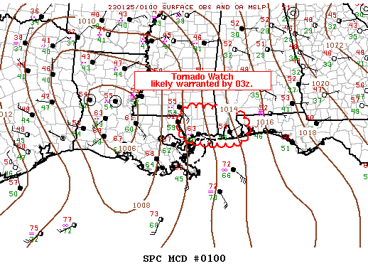 Mesoscale Discussion 100