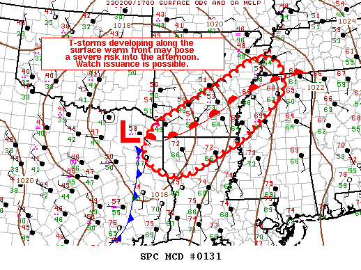 Mesoscale Discussion 131