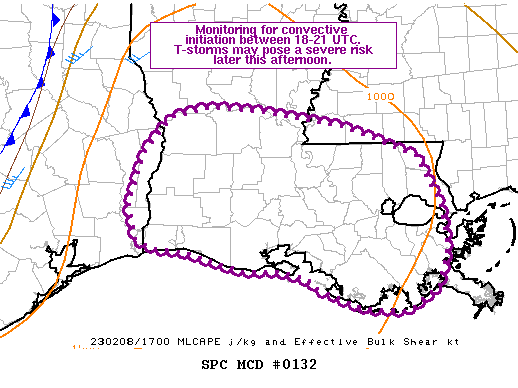 Mesoscale Discussion 132