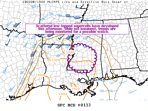 Mesoscale Discussion 133