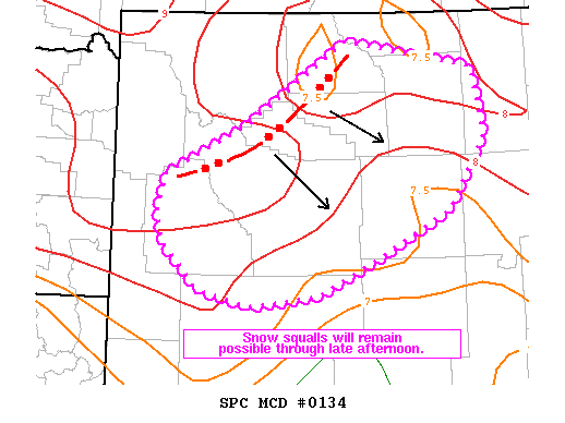 Mesoscale Discussion 134