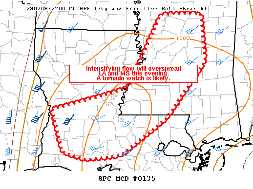 Mesoscale Discussion 135