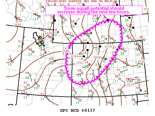 Mesoscale Discussion 137