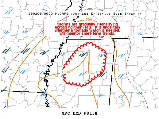 Mesoscale Discussion 138