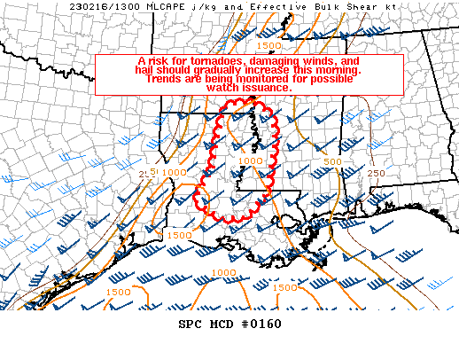 Mesoscale Discussion 160