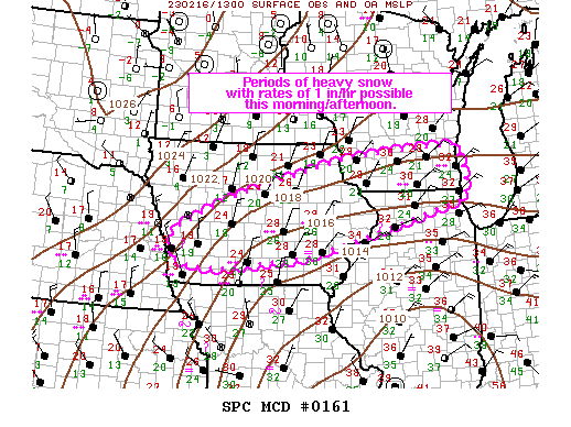 Mesoscale Discussion 161
