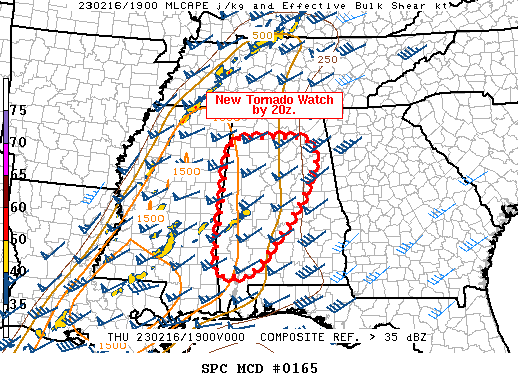 Mesoscale Discussion 165