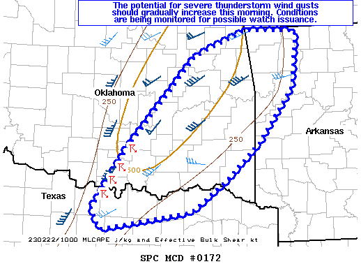 Mesoscale Discussion 172