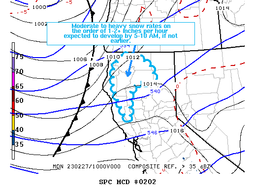Mesoscale Discussion 202