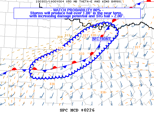 Mesoscale Discussion 226