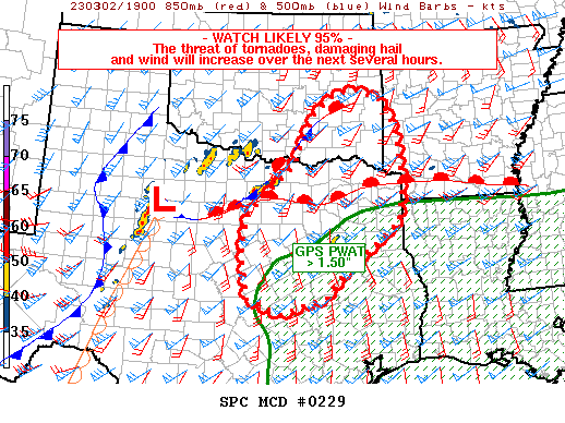 Mesoscale Discussion 229