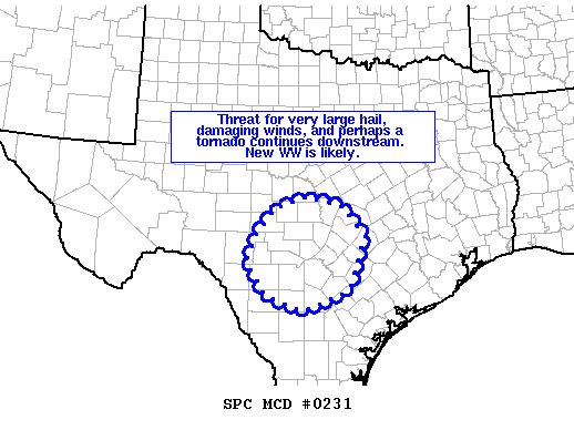 Mesoscale Discussion 231
