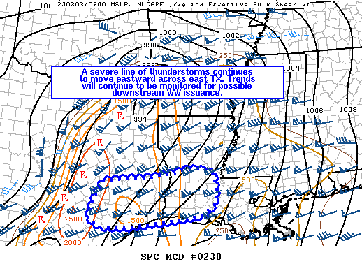 Mesoscale Discussion 238