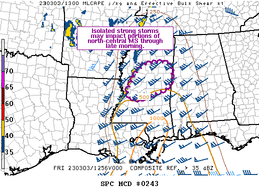 Mesoscale Discussion 243
