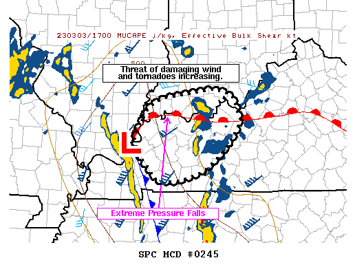 Mesoscale Discussion 245