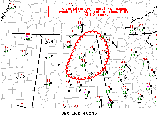 Mesoscale Discussion 246