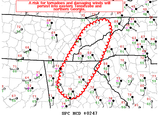 Mesoscale Discussion 247