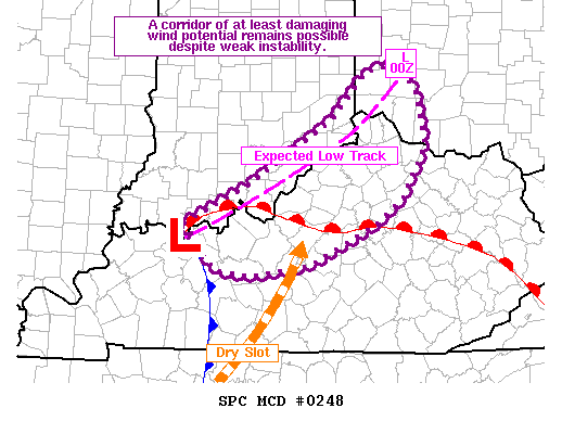 Mesoscale Discussion 248