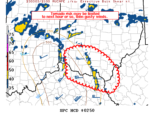Mesoscale Discussion 250