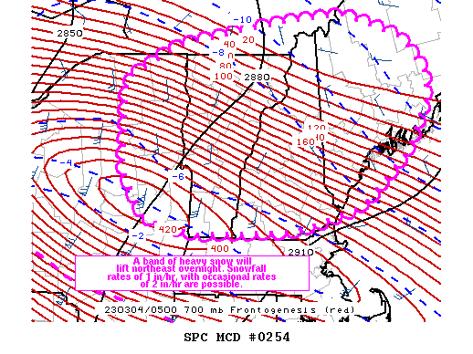 Mesoscale Discussion 254
