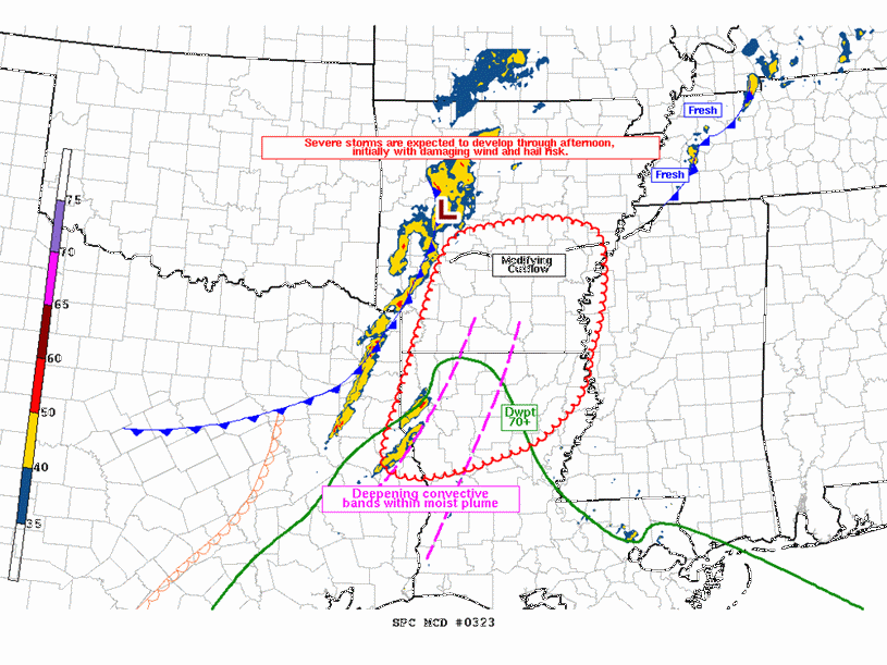 Mesoscale Discussion 323